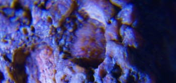 2017-02-07 09-03-48 (6).JPG