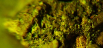 2017-02-07 09-04-14 (2).JPG