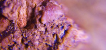 2017-02-07 09-04-14 (3).JPG