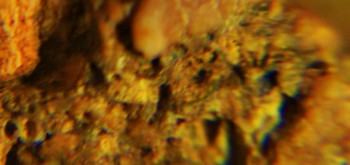 2017-02-07 09-04-14 (4).JPG