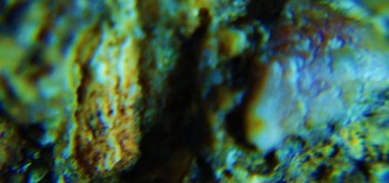 2017-02-07 09-04-14 (5).JPG