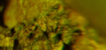 2017-02-07 09-04-14 (6).JPG