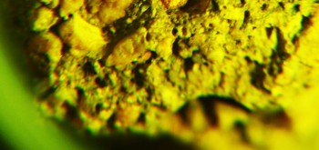 2017-02-07 09-04-14 (7).JPG