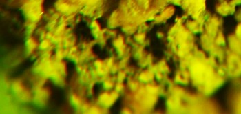 2017-02-07 09-04-14 (8).JPG