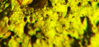 2017-02-07 09-04-14 (9).JPG