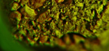 2017-02-07 09-04-14 (10).JPG