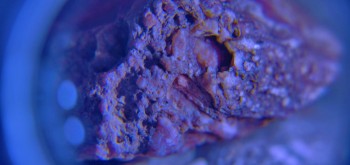 2017-02-07 09-05-12 (2).JPG