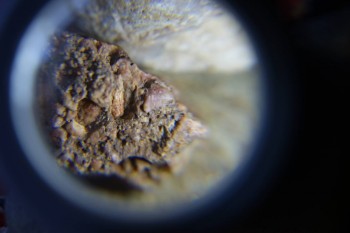 2017-02-07 09-04-14.JPG