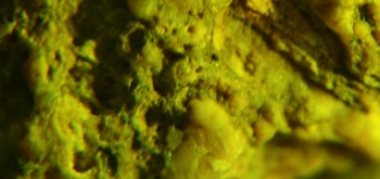 2017-02-07 09-05-12 (3).JPG