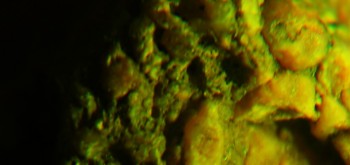 2017-02-07 09-05-12 (4).JPG