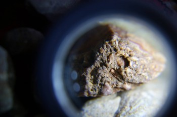 2017-02-07 09-05-12.JPG