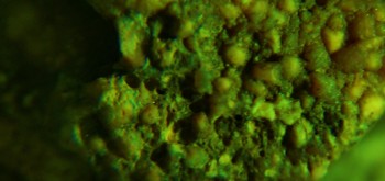 2017-02-07 09-05-26 (2).JPG