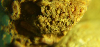 2017-02-07 09-05-26 (3).JPG