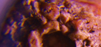 2017-02-07 09-05-26 (4).JPG