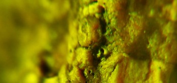 2017-02-07 09-05-48 (3).JPG