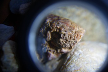 2017-02-07 09-05-26.JPG