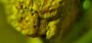 2017-02-07 09-05-48 (4).JPG