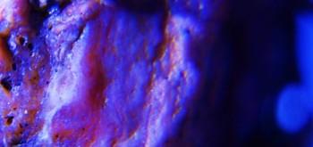 2017-02-07 09-05-48 (5).JPG