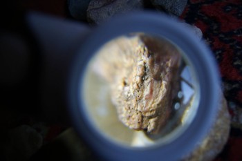 2017-02-07 09-05-48.JPG