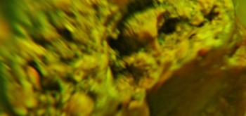 2017-02-07 09-06-52 (2).JPG