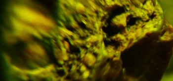 2017-02-07 09-06-52 (3).JPG