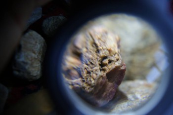 2017-02-07 09-06-52.JPG