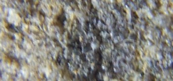 2017-02-07 08-11-00 (3).JPG