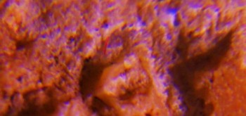 2017-02-07 08-50-40 (2).JPG