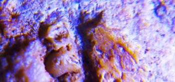 2017-02-07 08-50-40 (4).JPG