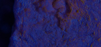 2017-02-07 08-50-40 (5).JPG