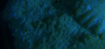 2017-02-07 08-50-48 (3).JPG