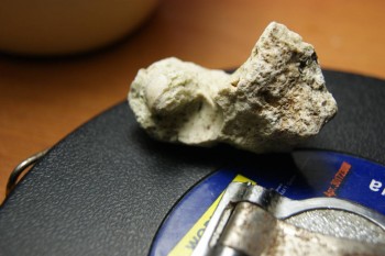 2017-03-10 18-45-44.JPG