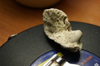 2017-03-10 18-46-00.JPG