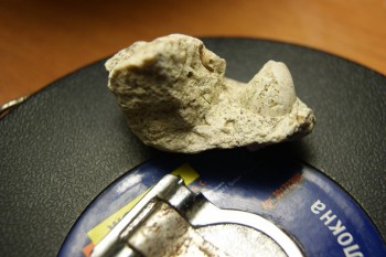 2017-03-10 18-46-14.JPG