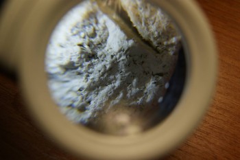 2017-03-10 18-49-16.JPG