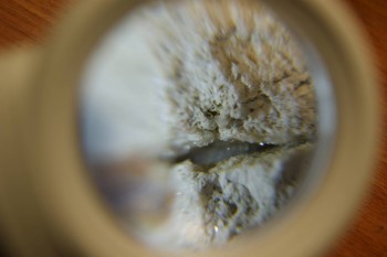 2017-03-10 18-49-56.JPG