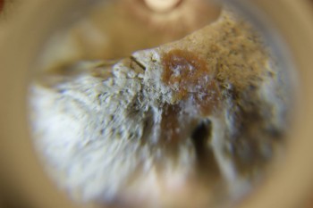 2017-03-10 18-50-44.JPG