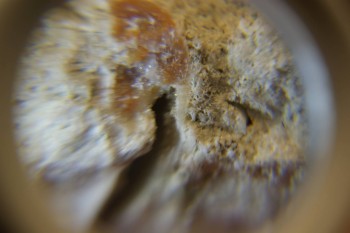 2017-03-10 18-50-54.JPG