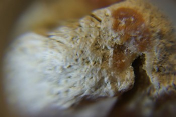 2017-03-10 18-51-06.JPG