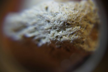 2017-03-10 18-51-20.JPG