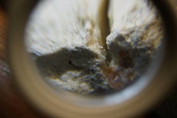 2017-03-10 18-52-46.JPG