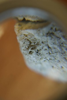 2017-03-10 18-54-26.JPG