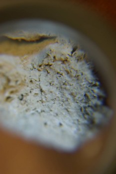 2017-03-10 18-54-36.JPG