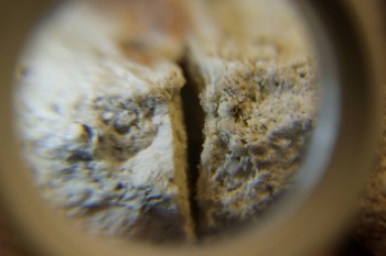 2017-03-10 18-56-14.JPG