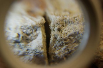 2017-03-10 18-56-18.JPG