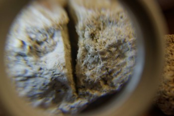 2017-03-10 18-56-22.JPG