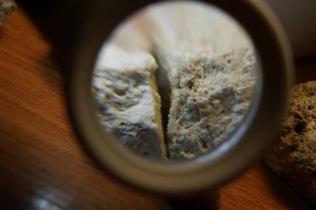 2017-03-10 18-56-58.JPG