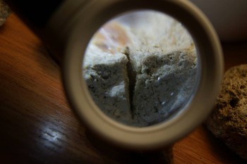 2017-03-10 18-57-06.JPG