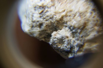 2017-03-10 18-57-44.JPG