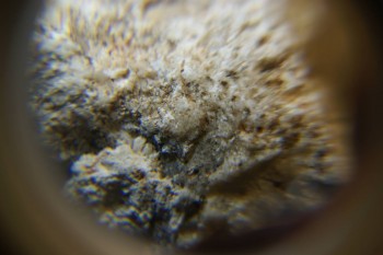 2017-03-10 18-57-48.JPG